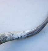 WATUSI HOORN -74 cm