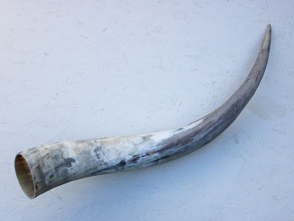 WATUSI HOORN -74 cm