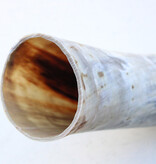 WATUSI HOORN -74 cm