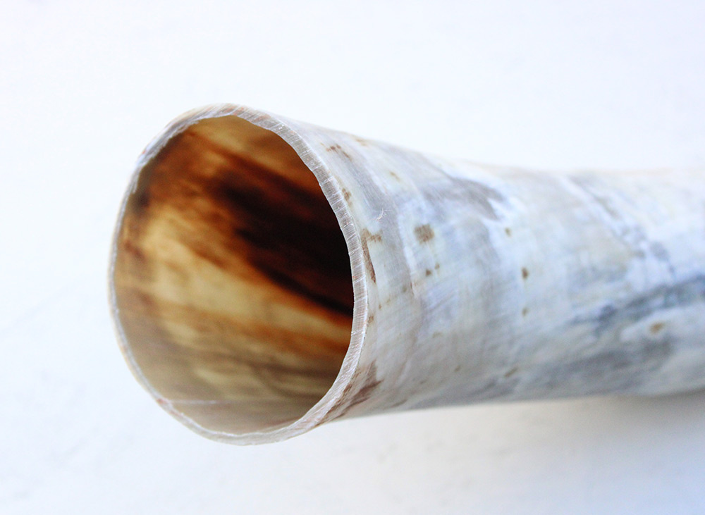 WATUSI HOORN -74 cm