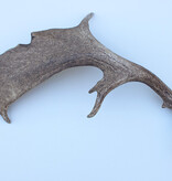 Grote DAMHERT GEWEI AFWERP STANG - ± 1,5 kg -72 cm