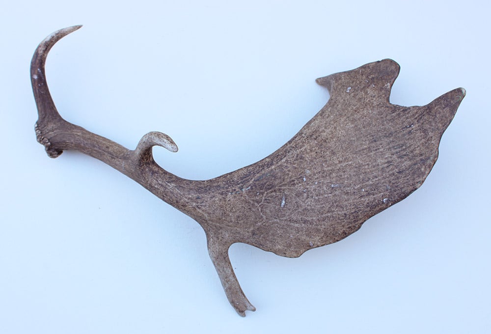 Grote DAMHERT GEWEI AFWERP STANG - ± 1,5 kg - 70 cm