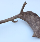 Grote DAMHERT GEWEI AFWERP STANG - ± 1,5 kg - 70 cm