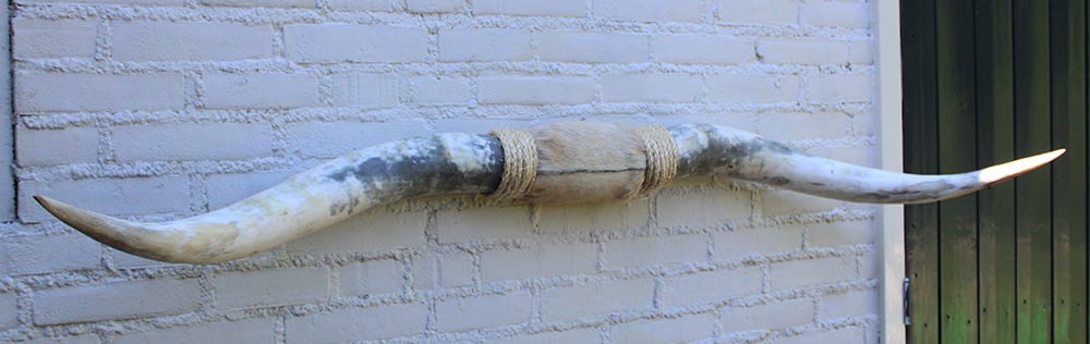 Texas style BULLBAR- 153  cm - afgewerkt met vel