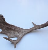 Grote DAMHERT GEWEI AFWERP STANG - ± 1,5 kg - 75 cm