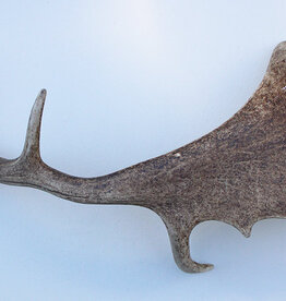 DAMHERT GEWEI AFWERP STANG - ± 1 kg - 62 cm  - ref.  U