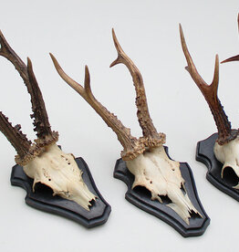 3 x groot REE GEWEI op houten schild -  set P