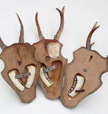 3 x groot REE GEWEI op houten schild  - met kaakdeeltjes
