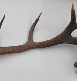 Grote 11-ender EDELHERT GEWEI AFWERP STANG - 3,2 kg - 90 cm