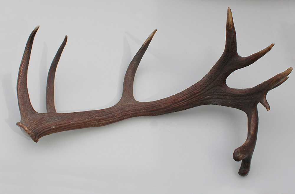 Grote 11-ender EDELHERT GEWEI AFWERP STANG - 3,2 kg - 90 cm