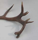 Grote 11-ender EDELHERT GEWEI AFWERP STANG - 3,2 kg - 90 cm