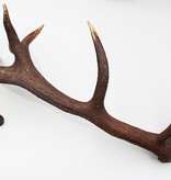 Grote 11-ender EDELHERT GEWEI AFWERP STANG - 3,2 kg - 90 cm