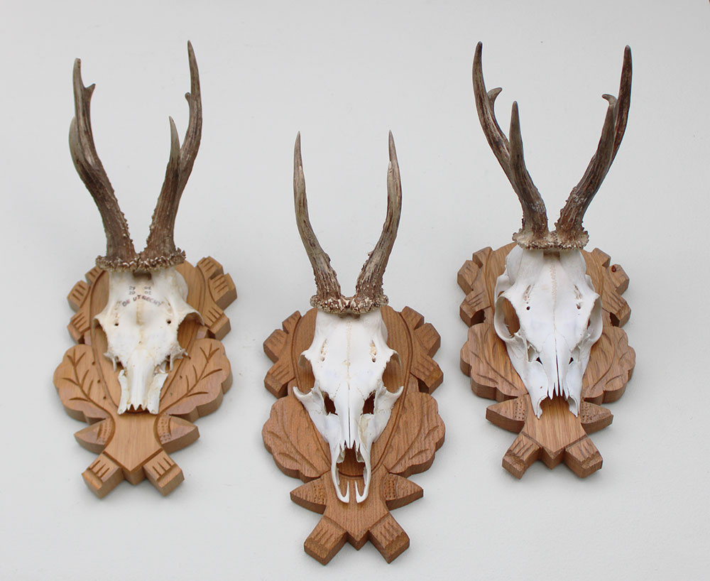 3 x  REE GEWEI op fraai bewerkt houten schild -  set C