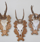 3 x  REE GEWEI op fraai bewerkt houten schild -  set C