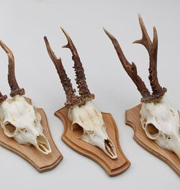 3 x REE GEWEI op licht houten schild -  set P