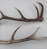 2 EDELHERT GEWEI STANGEN - geen paar - 80 cm - 2,5 kg