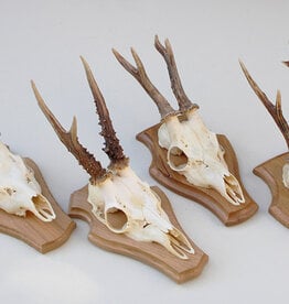 4x REE GEWEI op licht houten schild -  set H
