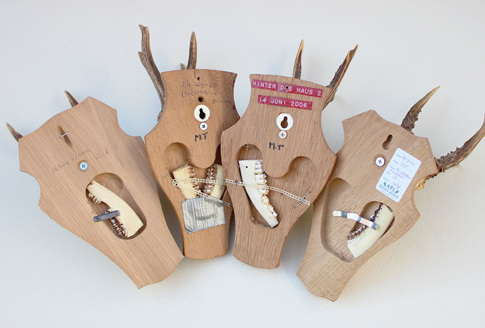 4 x REE GEWEI op licht houten schild met kaakdeeltjes