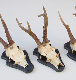 3 x decoratief REE GEWEI op houten schild -  set P