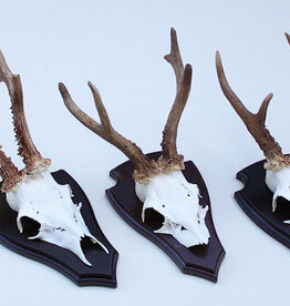 3 x groot Engels REE GEWEI op houten schild -  set O