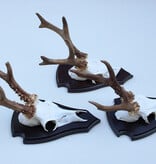 3 x groot Engels REE GEWEI op houten schild - met kaakdeeltjes