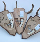 3 x groot Engels REE GEWEI op houten schild - met kaakdeeltjes