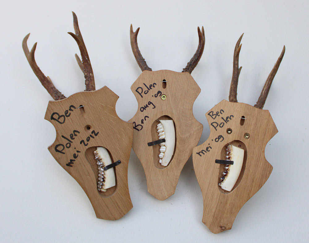3 x zesender REE GEWEI op licht houten schild met kaakdeeltjes