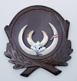 Groot schild tanden EVERZWIJN / WILD ZWIJN - ref.  GE16