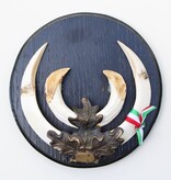 Groot schild tanden EVERZWIJN / WILD ZWIJN  - Hongarije