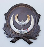 Groot schild tanden EVERZWIJN / WILD ZWIJN  - Hongarije