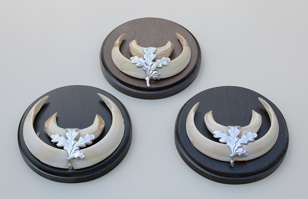 3 x schild tanden EVERZWIJN / WILD ZWIJN  - Hongarije