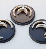 3 x schild tanden EVERZWIJN / WILD ZWIJN  - Hongarije