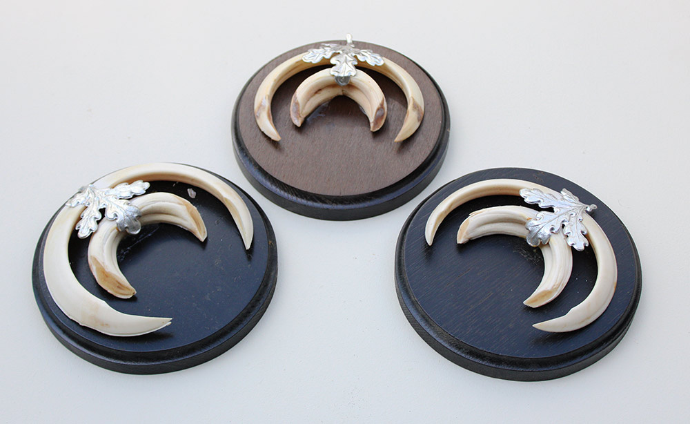 3 x schild tanden EVERZWIJN / WILD ZWIJN  - Hongarije