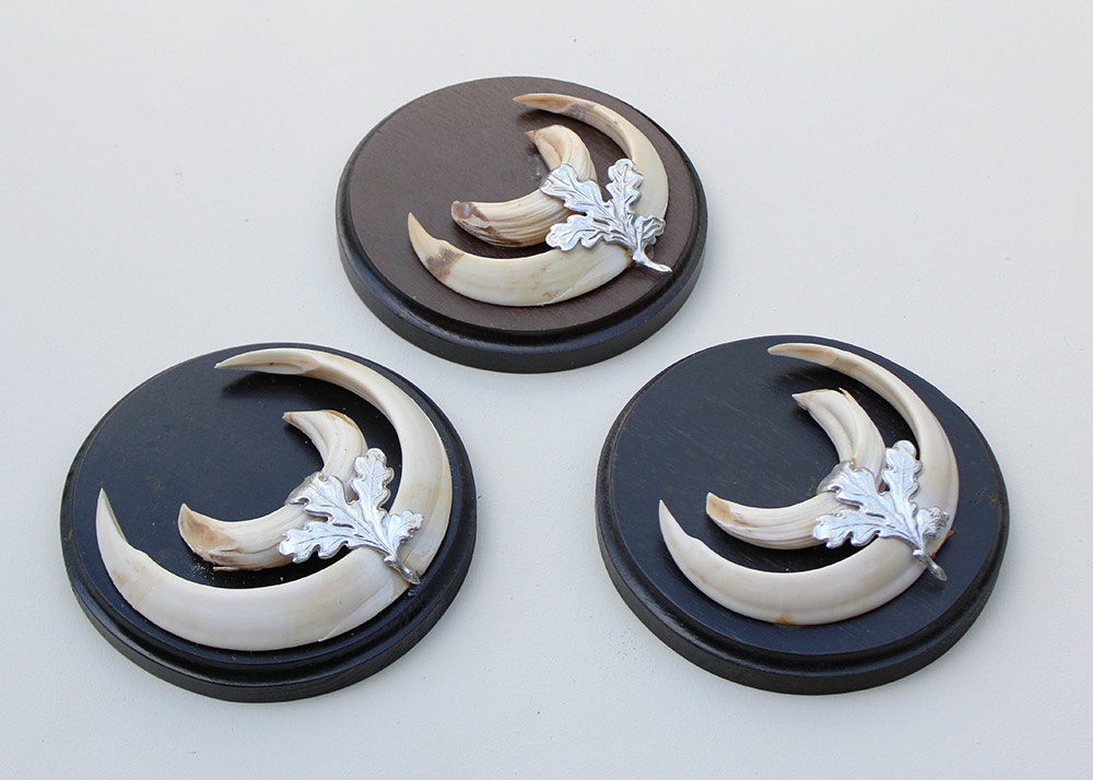 3 x schild tanden EVERZWIJN / WILD ZWIJN  - Hongarije