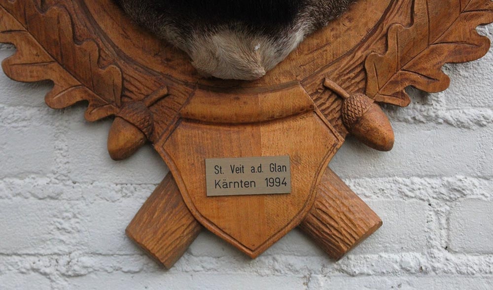 Decoratieve opgezette KOP MOEFLON RAM op bewerkt houten schild