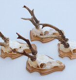 4 x REE GEWEI op licht houten schild met kaakdeeltjes - Copy