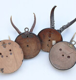 4 x antiek REE GEWEI  op zwart houten schild  - rond 1900