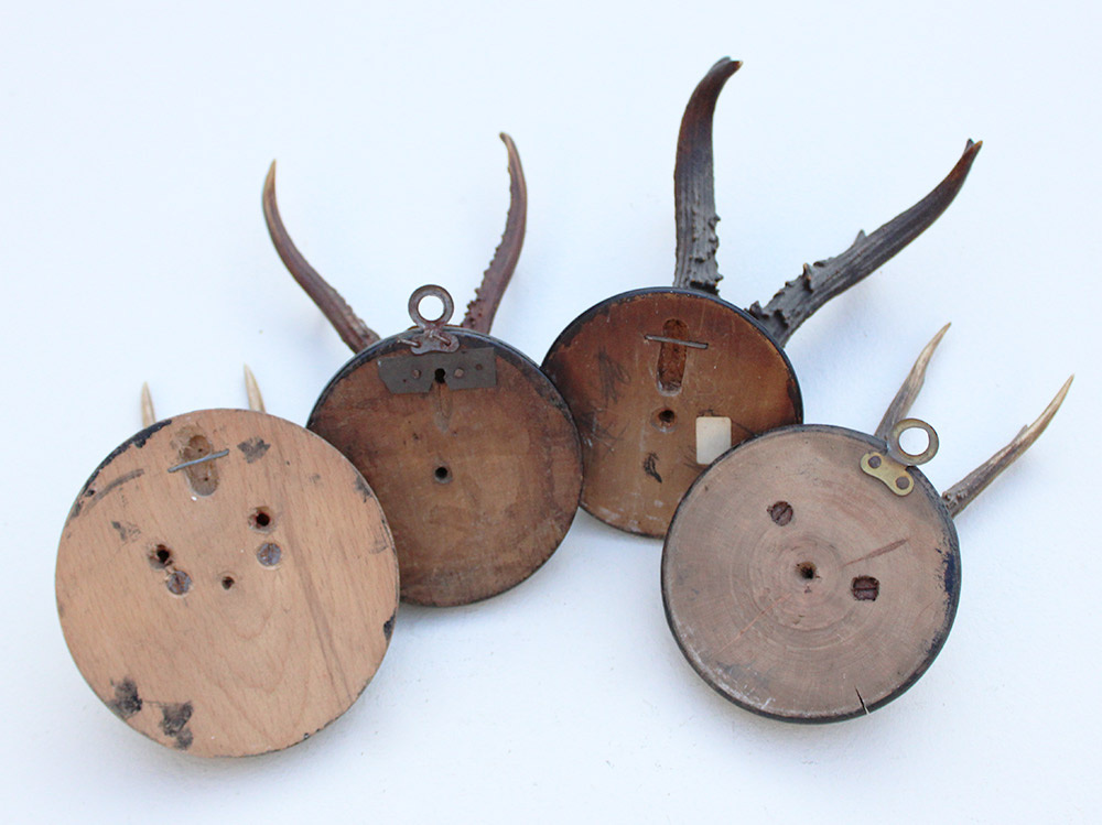 4 x antiek REE GEWEI  op zwart houten schild  - rond 1900