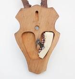 Groot zesender REE GEWEI  - volle rozen - stanglengte 22 cm