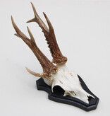 3-stangen zesender REE GEWEI  -  stanglengte 18 cm