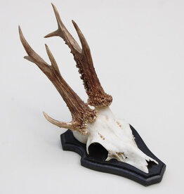 3-stangen zesender REE GEWEI  -  stanglengte 18 cm