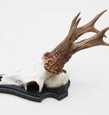 3-stangen zesender REE GEWEI  -  stanglengte 18 cm