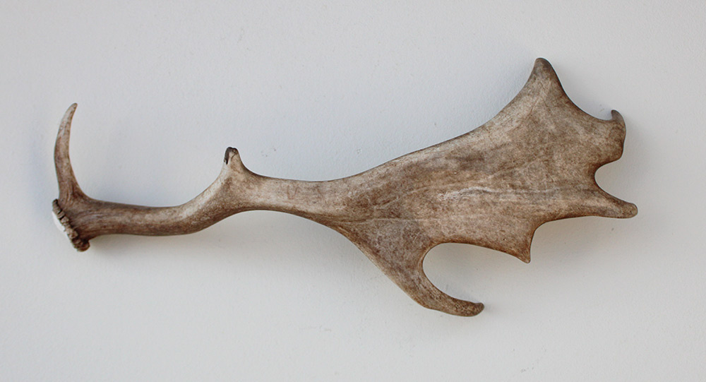 DAMHERT GEWEI AFWERP STANG - 55 cm