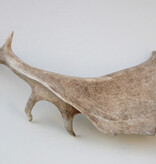 DAMHERT GEWEI AFWERP STANG - 68 cm