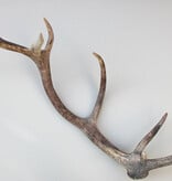 Grote EDELHERT GEWEI AFWERP STANG - 90 cm - 2,2 kg