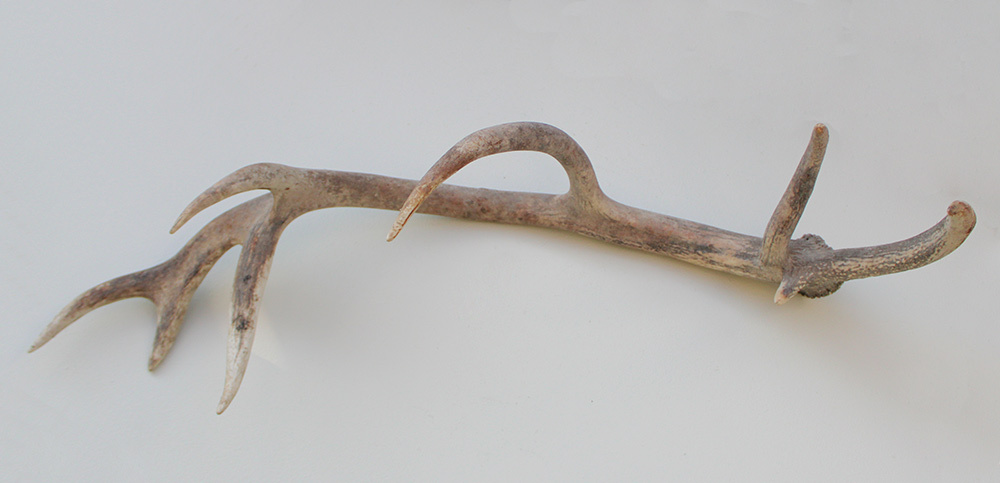 Grote EDELHERT GEWEI AFWERP STANG - 90 cm - 2,2 kg