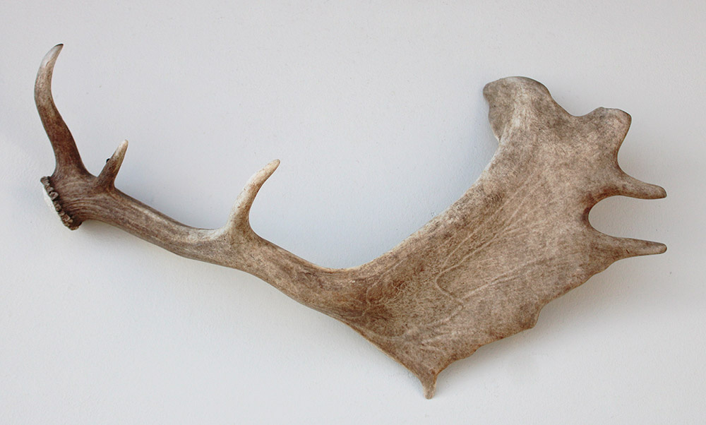 DAMHERT GEWEI AFWERP STANG - 65 cm
