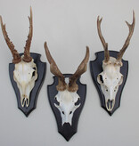 3 x groot REE GEWEI op houten schild