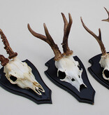 3 x groot REE GEWEI op houten schild