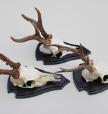 3 x groot REE GEWEI op houten schild